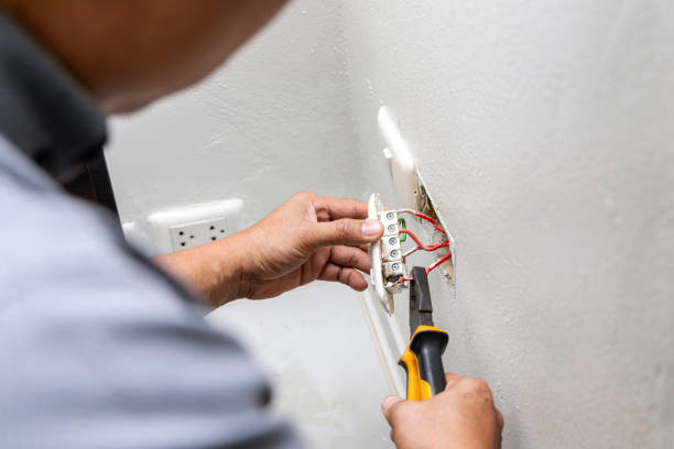 Best Ceiling Fan Installation Electrician  in Avenal, CA